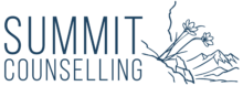summit logo navy